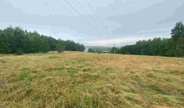 Prodej pole 49 321 m², Nové Sedlo – Loučky, okres Sokolov