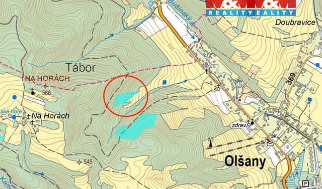 Prodej lesa 8 828 m², Olšany, okres Šumperk