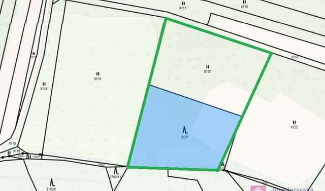 Prodej lesa 4 858 m², Klobouky u Brna, okres Břeclav