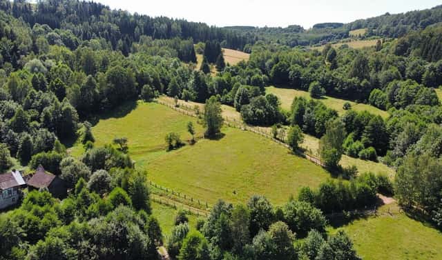 Prodej stavebního pozemku 4 589 m², Olešnice v Orlických horách, okres Rychnov nad Kněžnou