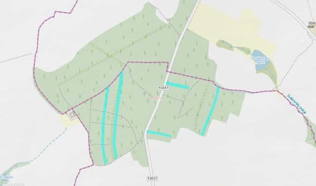 Prodej lesa 24 818 m², Vesce – Mokrá, okres Tábor