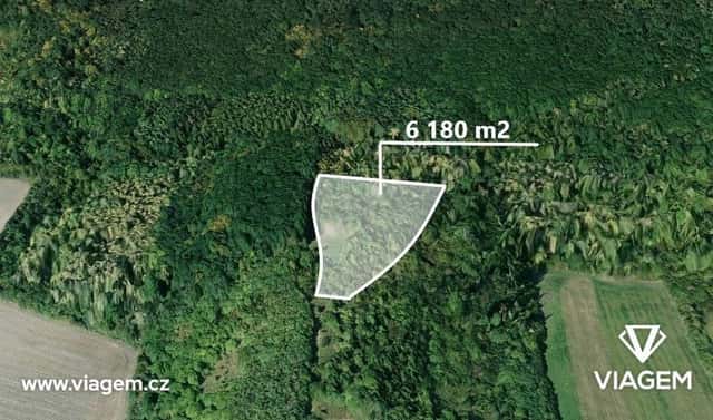 Prodej lesa 2 060 m², Dobrovice, okres Mladá Boleslav