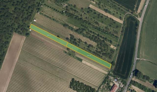 Prodej pole 5 062 m², Svatobořice-Mistřín – Svatobořice, okres Hodonín