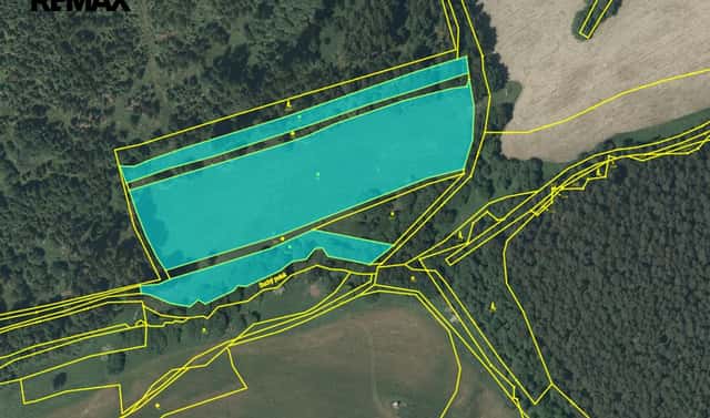 Prodej louky 20 332 m², Kynšperk nad Ohří, okres Sokolov