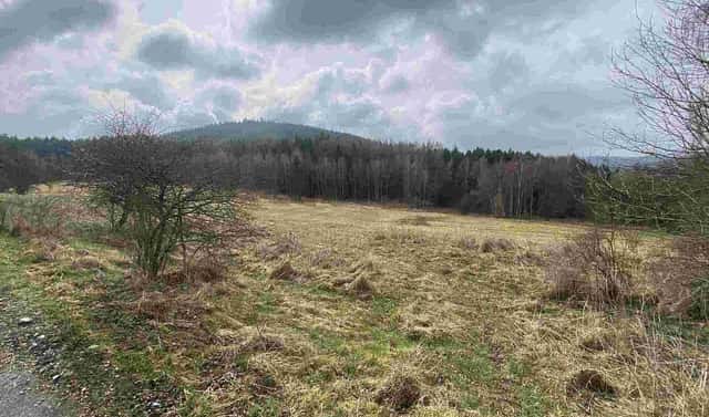 Prodej pole 8 071 m², Vyšší Brod – Hrudkov, okres Český Krumlov