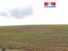 Prodej pole, 2579 m², Štěpánkovice, okres Opava