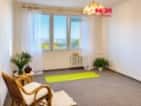 Prodej bytu 2+kk, 40 m², Plzeň, ul. Sokolovská, okres Plzeň-město