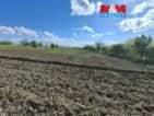 Prodej ovocného sadu, 3033 m², Pasohlávky, okres Břeclav