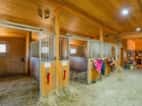 Zavedený jezdecký areál 9,1 ha se stavebním povolením pro další rozvoj | Zlín - Zádveřice, okres Zlín