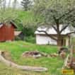 Letovice, zahrada, 1 242 – pozemek.Exkluzivně vám, okres Blansko