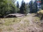 Prodej stavebního pozemku, 3955 m², Pstruží, Frýdek Místek, okres Frýdek-Místek