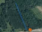 Prodej lesa 2484 m2, okres Hodonín