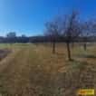 Štěchov, stavební rezerva, 4 979 m2 – pozemek, okres Blansko