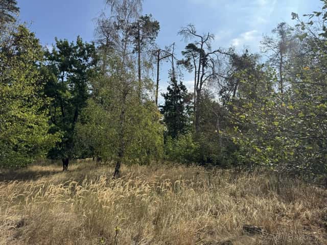 Prodej lesního pozemku k.ú. Sedlec u Náměště nad Oslavou, okres Třebíč