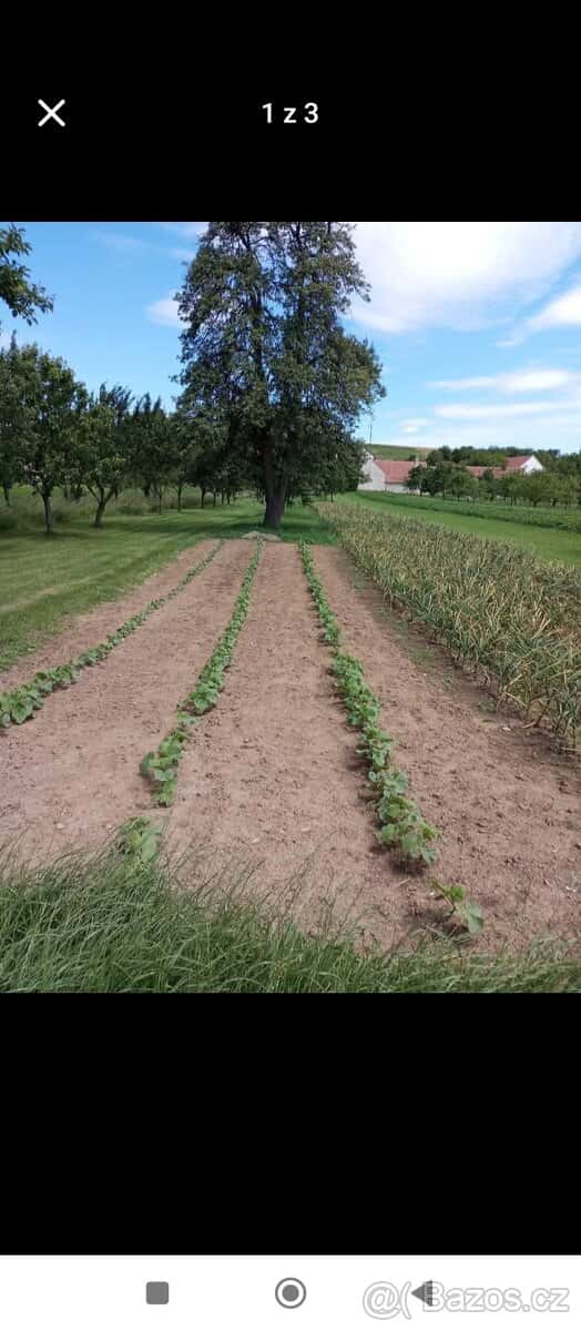 Prodám pozemek 495 m2, okres Znojmo