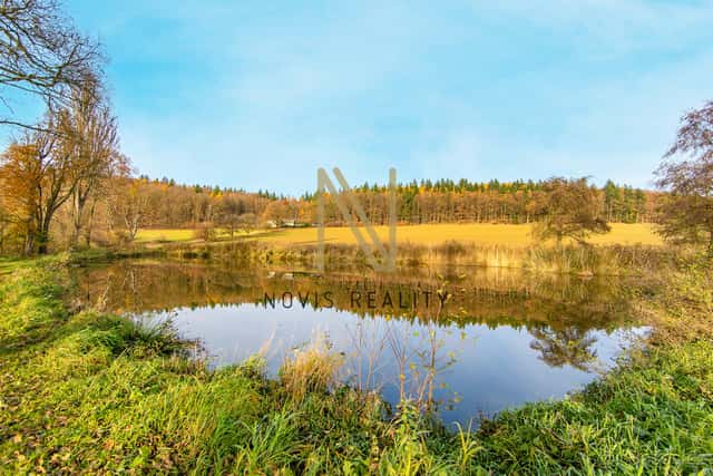 Prodej, rybník, 2 713 m², Týnec, okres Klatovy, okres Klatovy