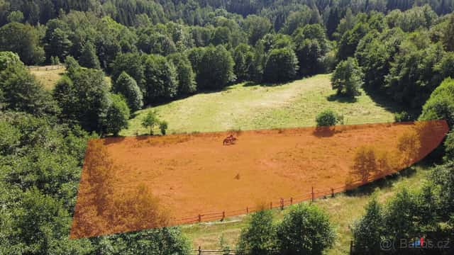 Prodej pozemku 3 118 m² - Olešnice v Orlických horách, okres Rychnov nad Kněžnou