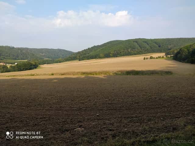 Prodám zem.půdu v Račicích na Vyškovsku, okres Vyškov