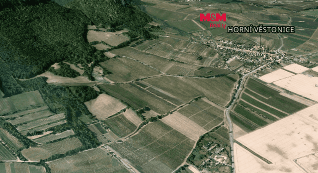 Pronájem vinice, 4000 m², Horní Věstonice, okres Břeclav