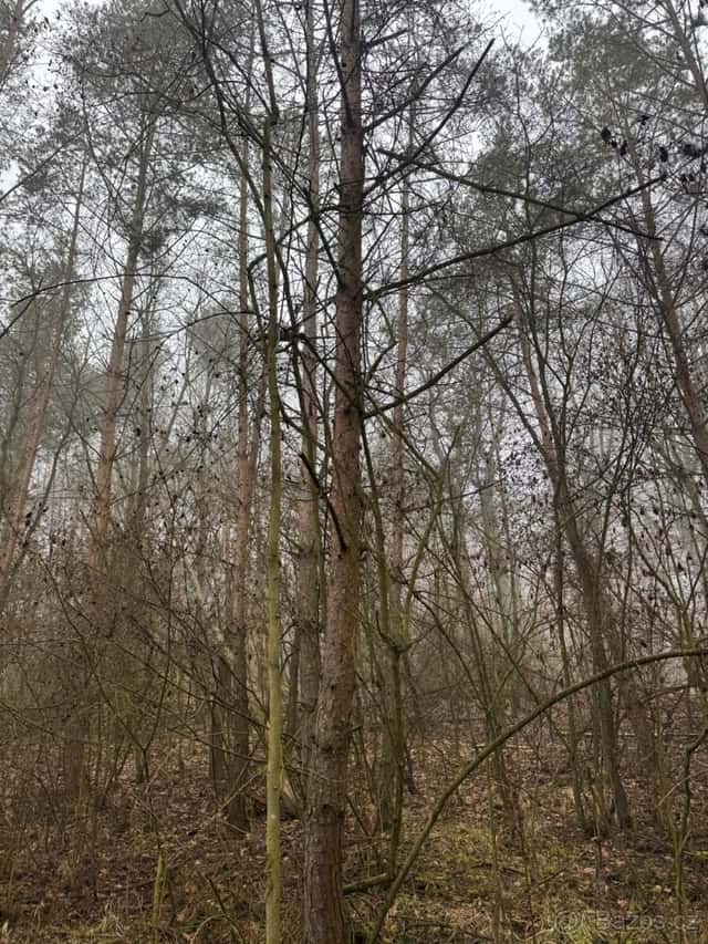 Prodej pozemků k.ú. Chotiněves a k.ú. Oparno, okres Litoměřice