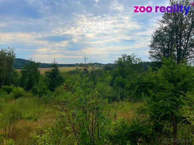 Prodej, lesní pozemek, 3,3 ha, Brandlín, okres Jindřichův Hradec