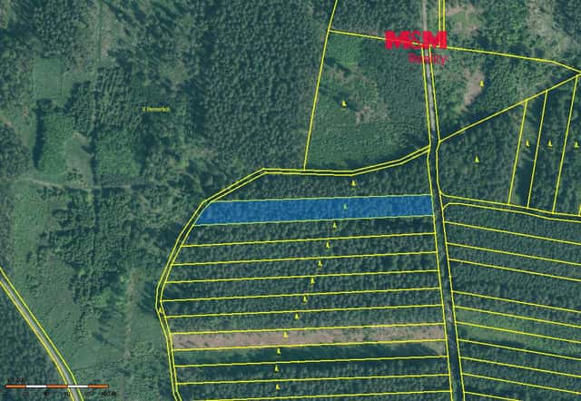 Prodej lesa, 4751 m², Bechyně, okres České Budějovice