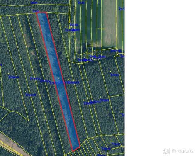 Prodám les 18 382 m² – Olešnice u Trhových Svinů, okres České Budějovice