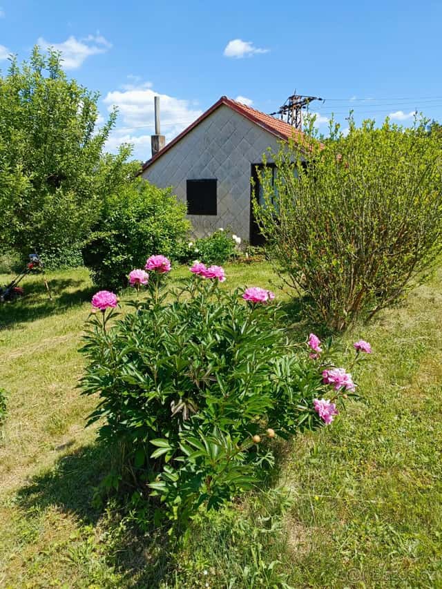 Zahrada s chatkou, okres Blansko