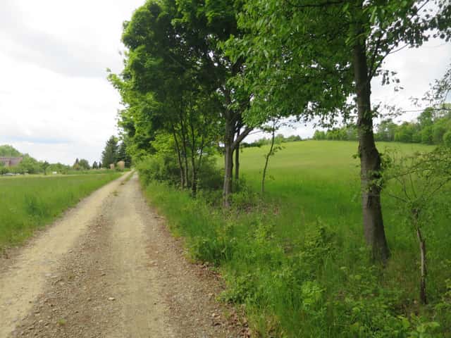 Božejovice, trvalý travní porost 3465 m2 prodám, okres Tábor