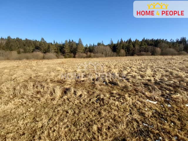 Prodej Pozemku o rozloze 9804 m2 v obci Černá v Pošumaví., okres Český Krumlov