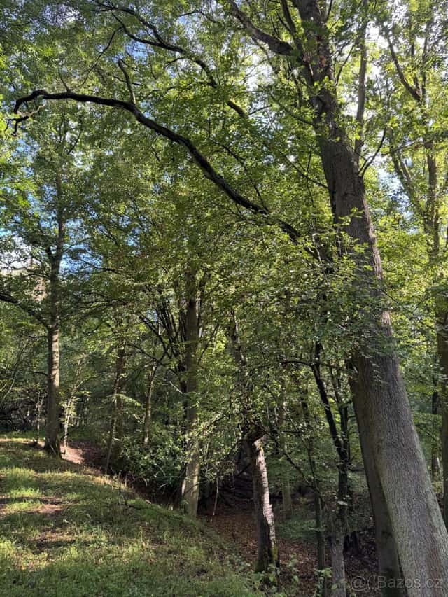 Prodej pozemků k.ú. Zahájí u Chorušic, okres Mělník