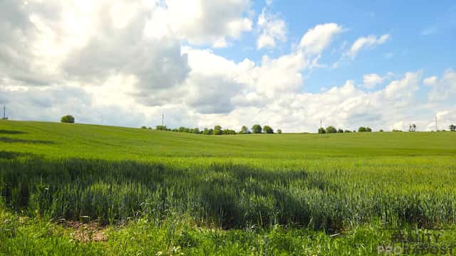 Prodej pozemků 2649 m2 v Kyjově - Nětčicích, okres Hodonín