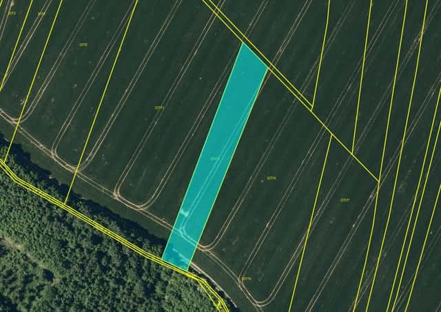 Pole s velmi dobrou bonitou – 2 603 m2 – Kovalovice, okres Přerov