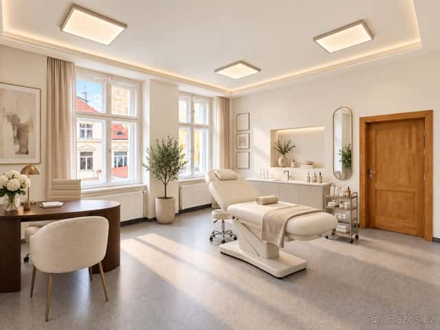 Pronájem zdravotnického zařízení 109 m2, Praha 1
