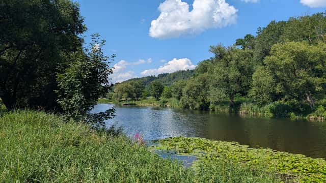 Pozemek na samotě u řeky Berounky (u Plzně), okres Plzeň-sever