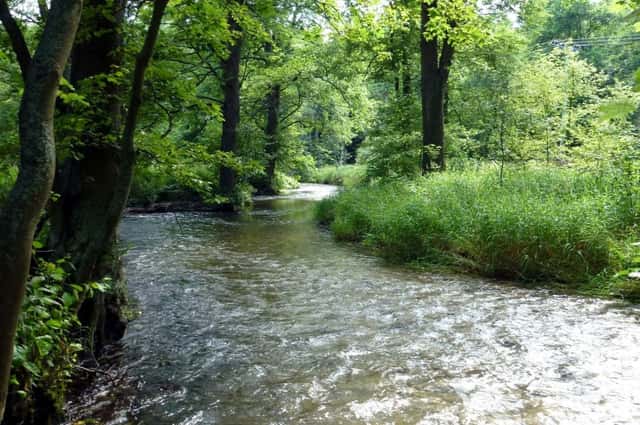 Exkluzivní pozemek 3 800 m² přímo na břehu řeky Moravice, okres Bruntál