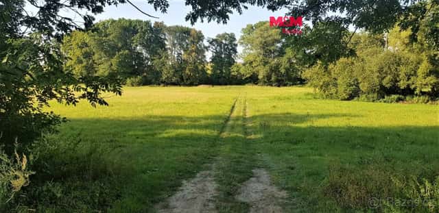 Pronájem zahrady, 9756 m², Opava - Zlatníky, okres Opava