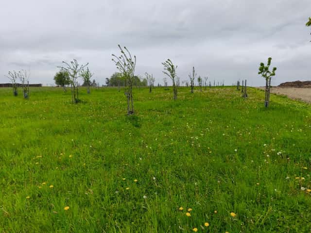 PRONÁJEM POZEMEK ČB - 5000m2, okres České Budějovice