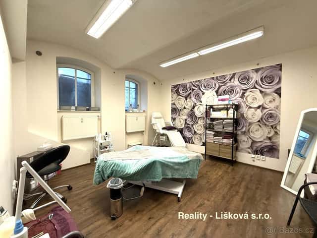 Nebytové prostory vhodné na kosmetiku nebo kadeřnictví, okres Ústí nad Labem