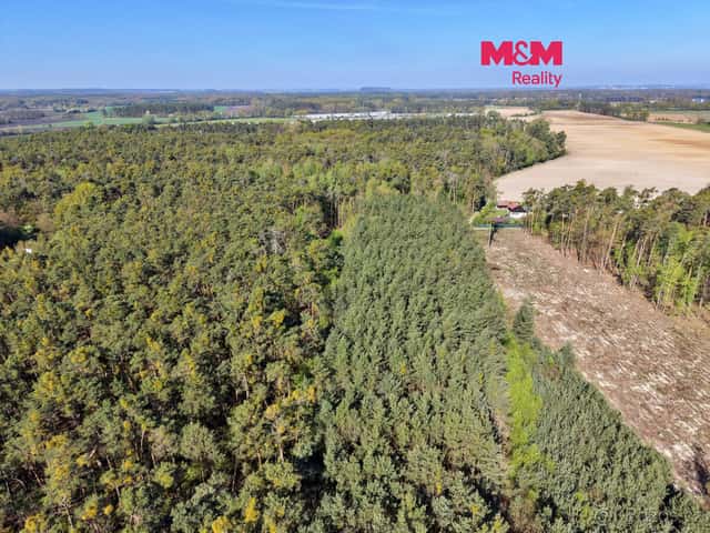 Prodej lesa, 4769 m², Sadská, okres Nymburk