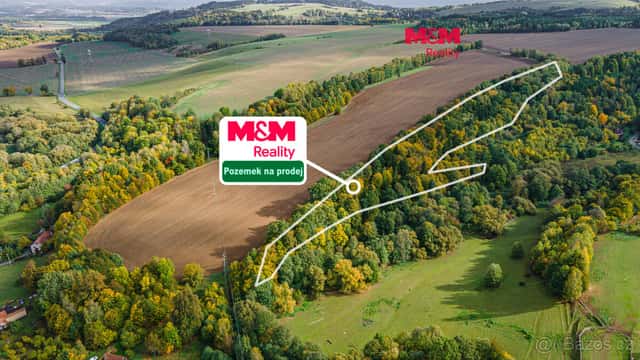 Prodej lesa, 29949 m², Opatov, okres Svitavy