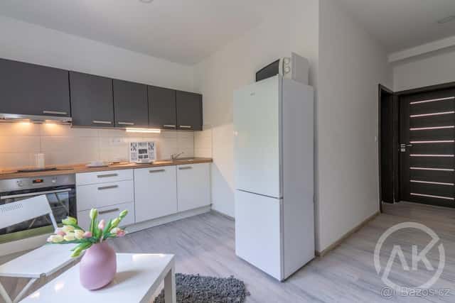 Pronájem moderního bydlení ve Vítkovicích, Ostrava, okres Ostrava-město