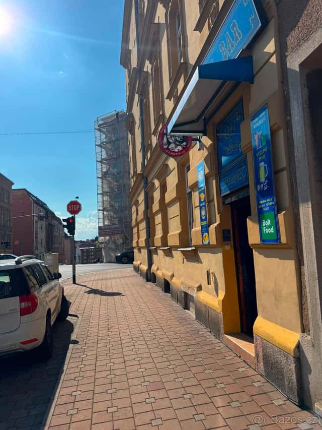 Prodej zavedeného a pronajatého prostoru pro podnikání, okres Cheb