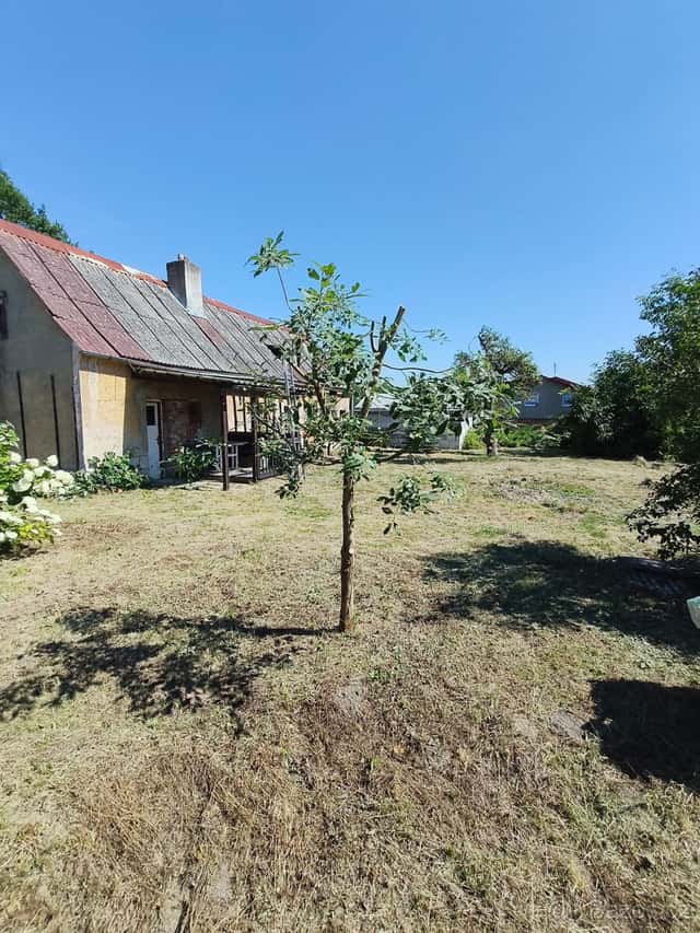Pronájem pozemku cca 800m2 k rekreačním účelům, okres Sokolov