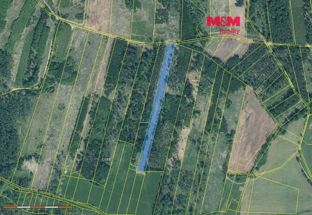 Prodej lesa, 13770 m², Jetětice, okres Písek