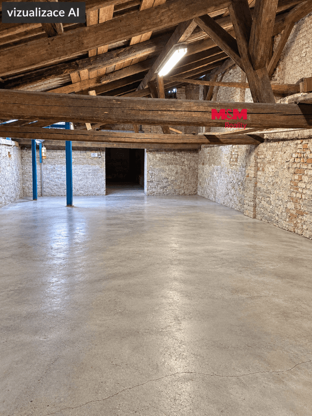 Pronájem obchodního objektu, 272 m², Prostějov, okres Prostějov