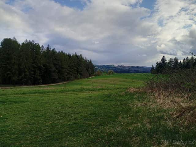 Lesní pozemek na chatu, okres Šumperk