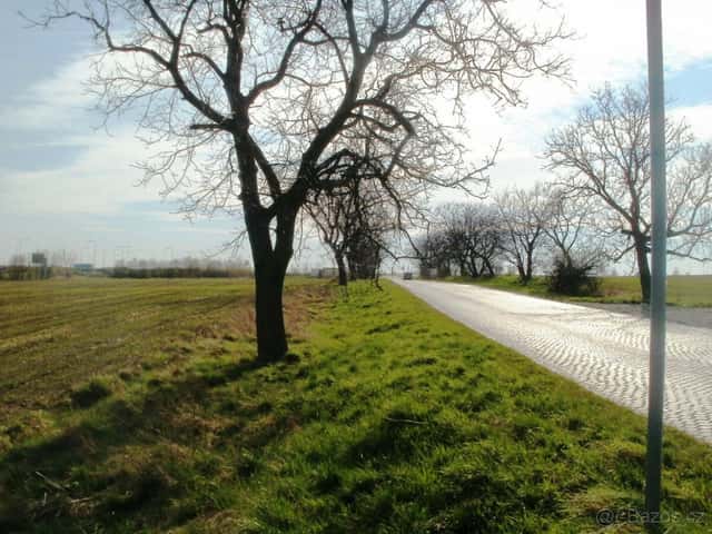 Prodám pozemek 10.000 m2, okres Olomouc