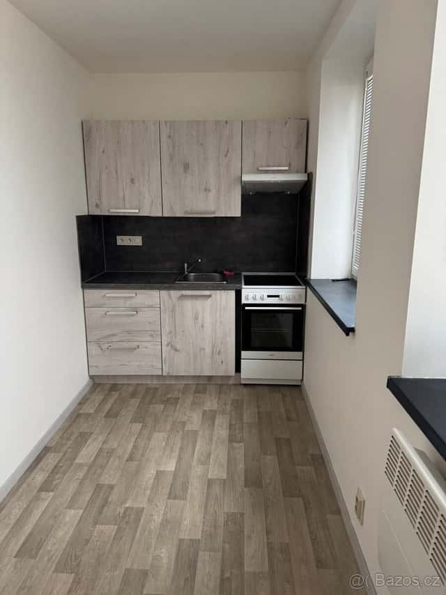 Pronájem bytu 1+1, Rybářská, Opava, okres Opava