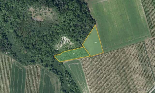 Zemědělská půda, prodej, Želkovice, Louny, okres Louny